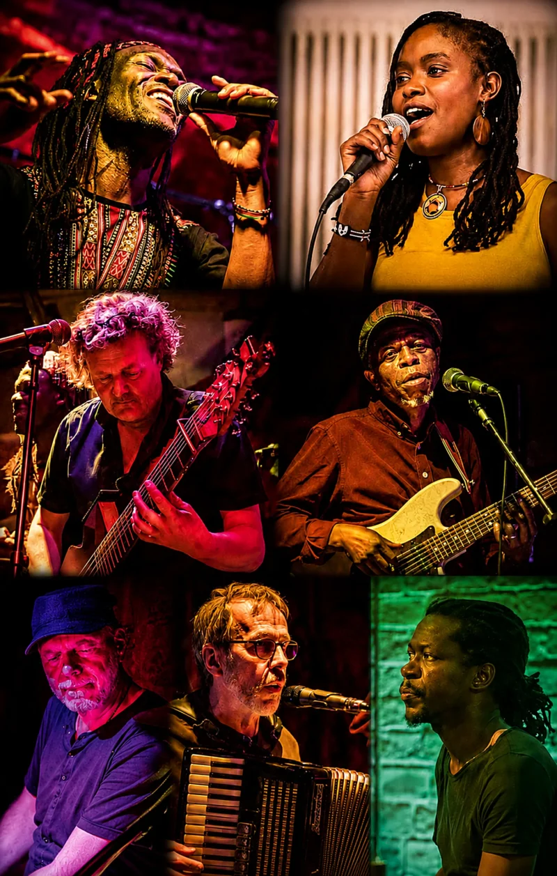 Steven Ouma und Bandmitglieder in farbigem Bühnenlicht – Bildcollage aus sechs Konzertfotos